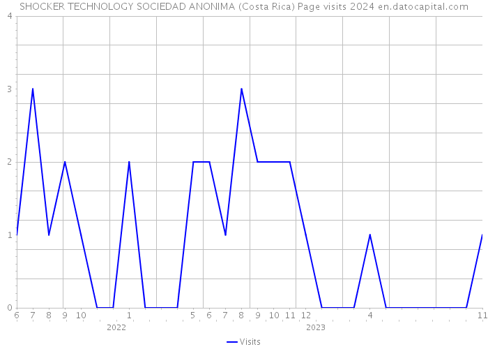 SHOCKER TECHNOLOGY SOCIEDAD ANONIMA (Costa Rica) Page visits 2024 