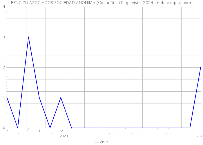 FENG YU ASOCIADOS SOCIEDAD ANONIMA (Costa Rica) Page visits 2024 