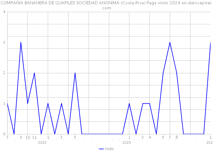 COMPAŃIA BANANERA DE GUAPILES SOCIEDAD ANONIMA (Costa Rica) Page visits 2024 