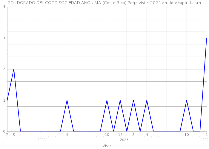 SOL DORADO DEL COCO SOCIEDAD ANONIMA (Costa Rica) Page visits 2024 