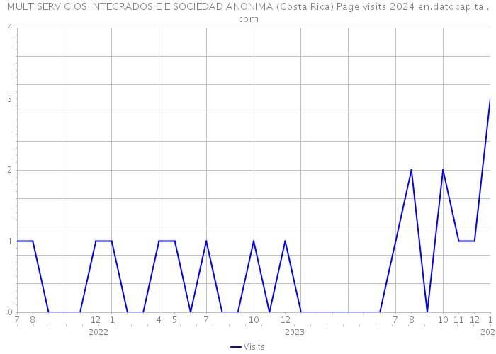MULTISERVICIOS INTEGRADOS E E SOCIEDAD ANONIMA (Costa Rica) Page visits 2024 