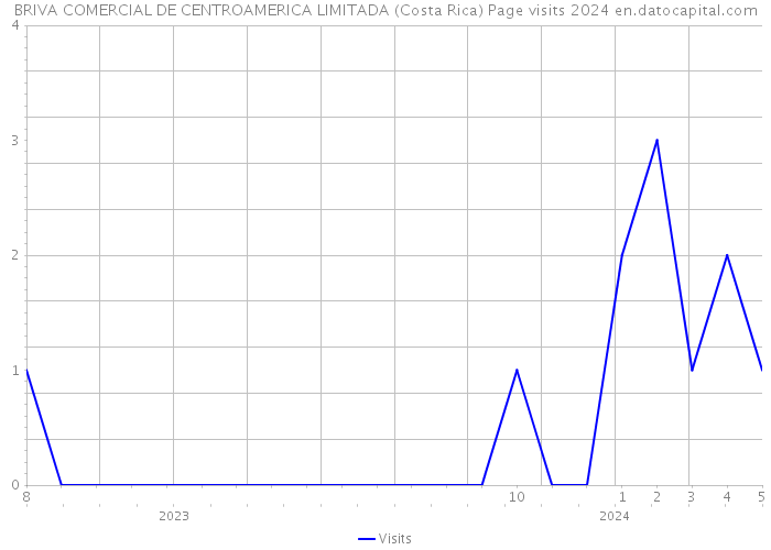 BRIVA COMERCIAL DE CENTROAMERICA LIMITADA (Costa Rica) Page visits 2024 