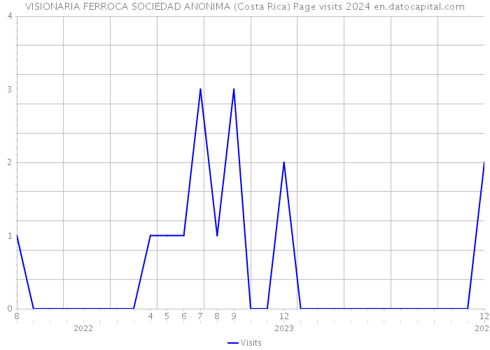 VISIONARIA FERROCA SOCIEDAD ANONIMA (Costa Rica) Page visits 2024 