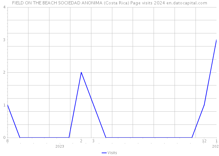 FIELD ON THE BEACH SOCIEDAD ANONIMA (Costa Rica) Page visits 2024 