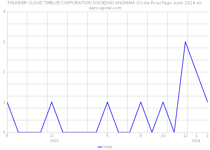 THUNDER CLOUD TWELVE CORPORATION SOCIEDAD ANONIMA (Costa Rica) Page visits 2024 