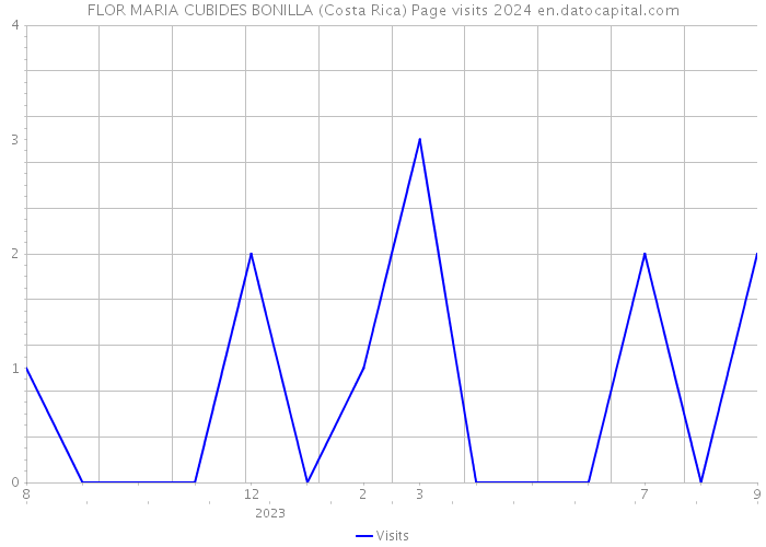 FLOR MARIA CUBIDES BONILLA (Costa Rica) Page visits 2024 