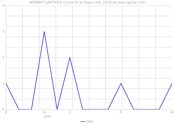 WOMBAT LIMITADA (Costa Rica) Page visits 2024 