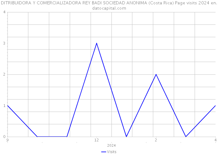 DITRIBUIDORA Y COMERCIALIZADORA REY BADI SOCIEDAD ANONIMA (Costa Rica) Page visits 2024 