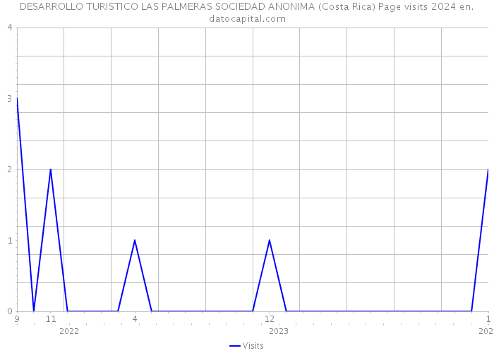DESARROLLO TURISTICO LAS PALMERAS SOCIEDAD ANONIMA (Costa Rica) Page visits 2024 