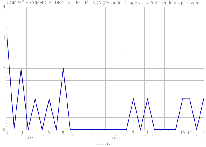 COMPAŃIA COMERCIAL DE GUAPILES LIMITADA (Costa Rica) Page visits 2024 