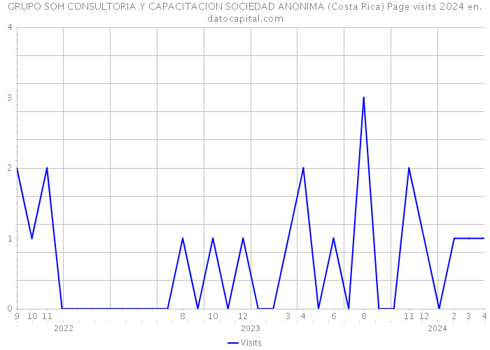GRUPO SOH CONSULTORIA Y CAPACITACION SOCIEDAD ANONIMA (Costa Rica) Page visits 2024 