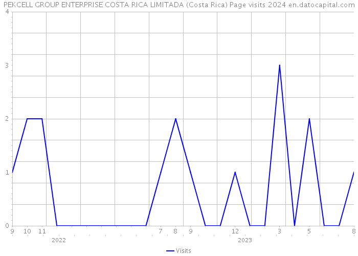 PEKCELL GROUP ENTERPRISE COSTA RICA LIMITADA (Costa Rica) Page visits 2024 