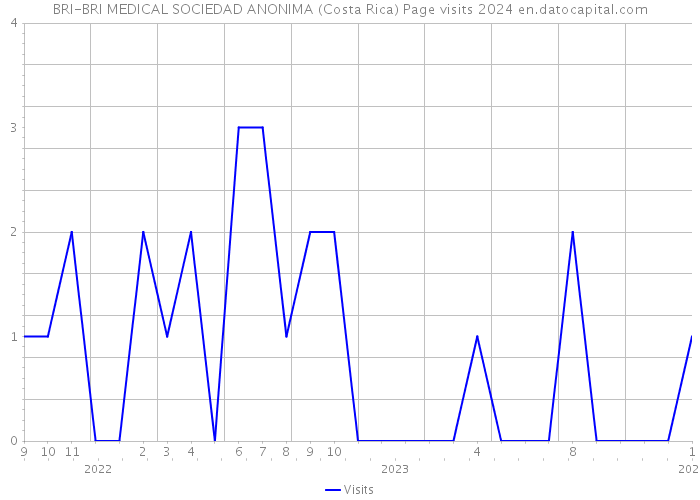 BRI-BRI MEDICAL SOCIEDAD ANONIMA (Costa Rica) Page visits 2024 