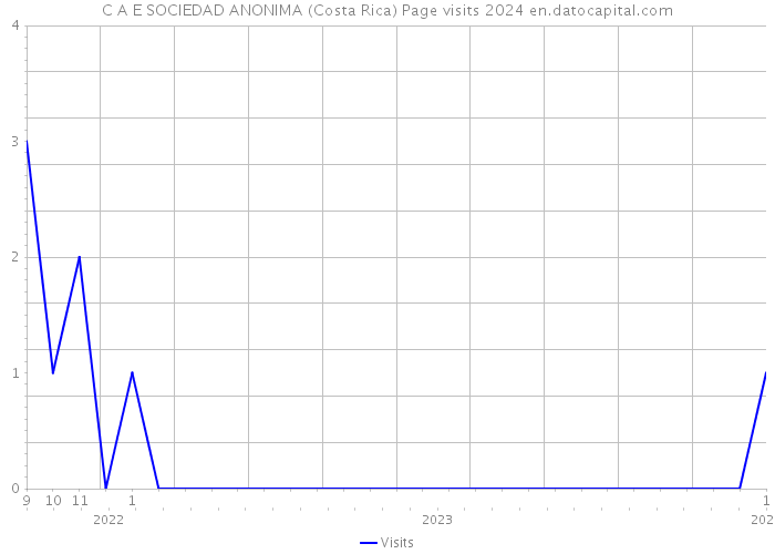 C A E SOCIEDAD ANONIMA (Costa Rica) Page visits 2024 