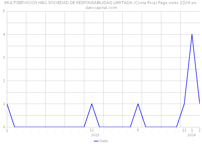 MULTISERVICIOS H&G SOCIEDAD DE RESPONSABILIDAD LIMITADA (Costa Rica) Page visits 2024 