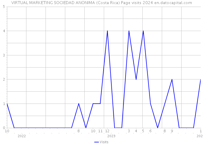 VIRTUAL MARKETING SOCIEDAD ANONIMA (Costa Rica) Page visits 2024 