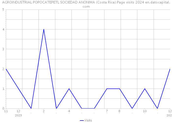 AGROINDUSTRIAL POPOCATEPETL SOCIEDAD ANONIMA (Costa Rica) Page visits 2024 