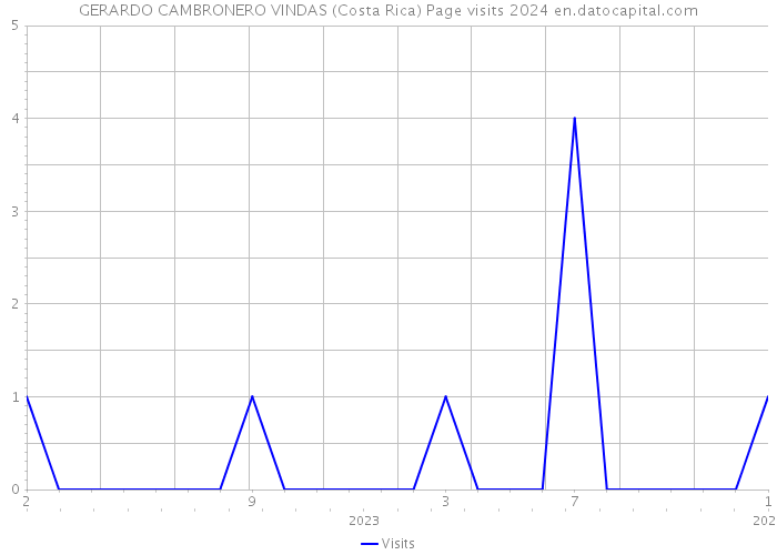 GERARDO CAMBRONERO VINDAS (Costa Rica) Page visits 2024 