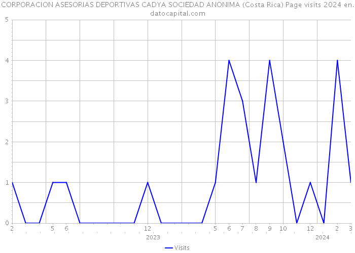 CORPORACION ASESORIAS DEPORTIVAS CADYA SOCIEDAD ANONIMA (Costa Rica) Page visits 2024 