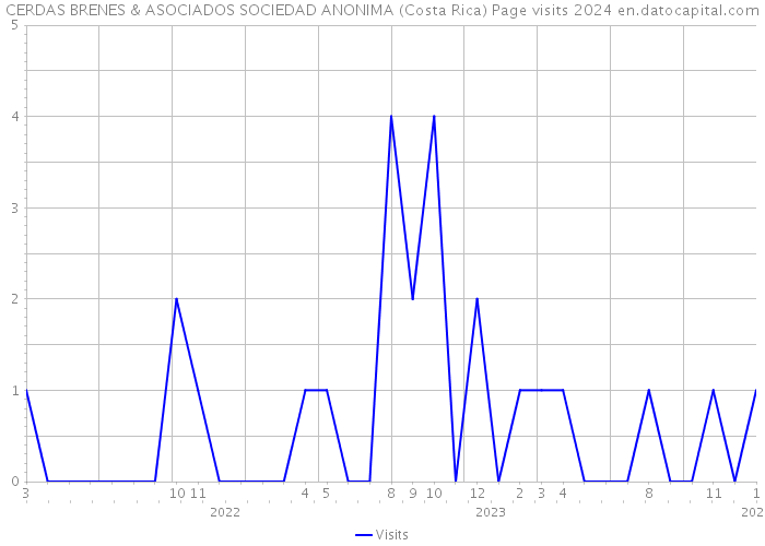 CERDAS BRENES & ASOCIADOS SOCIEDAD ANONIMA (Costa Rica) Page visits 2024 