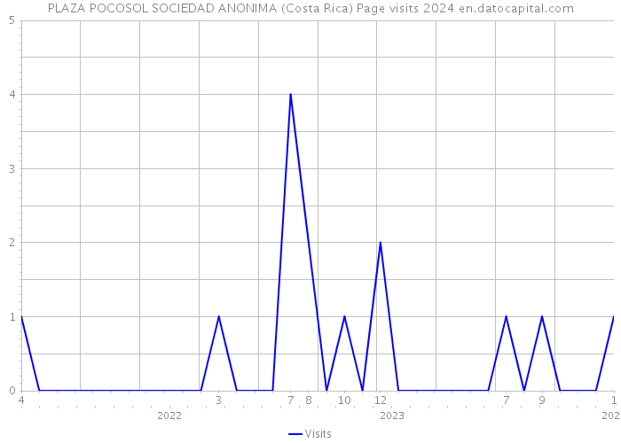PLAZA POCOSOL SOCIEDAD ANONIMA (Costa Rica) Page visits 2024 