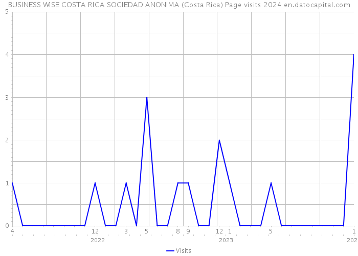 BUSINESS WISE COSTA RICA SOCIEDAD ANONIMA (Costa Rica) Page visits 2024 