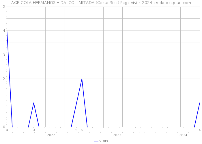 AGRICOLA HERMANOS HIDALGO LIMITADA (Costa Rica) Page visits 2024 