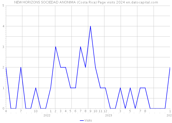 NEW HORIZONS SOCIEDAD ANONIMA (Costa Rica) Page visits 2024 