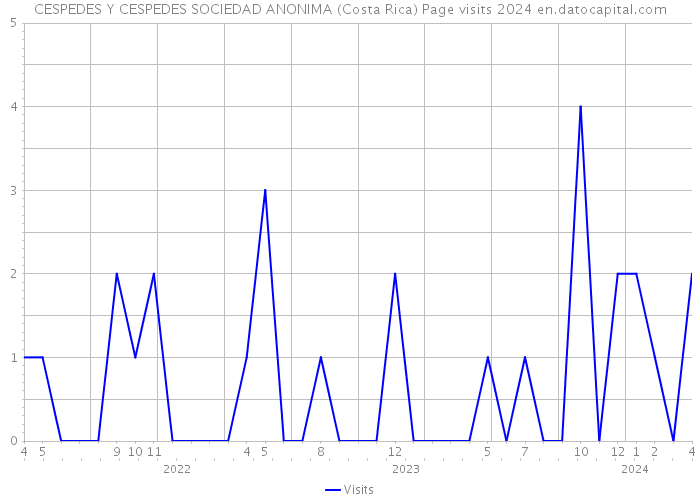 CESPEDES Y CESPEDES SOCIEDAD ANONIMA (Costa Rica) Page visits 2024 