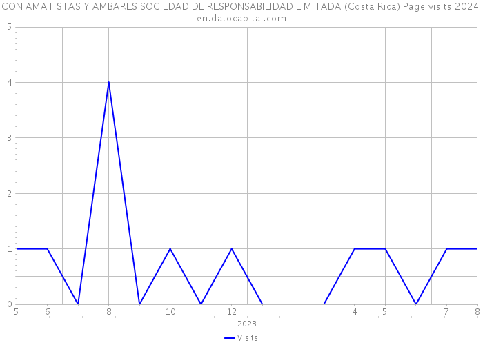 CON AMATISTAS Y AMBARES SOCIEDAD DE RESPONSABILIDAD LIMITADA (Costa Rica) Page visits 2024 