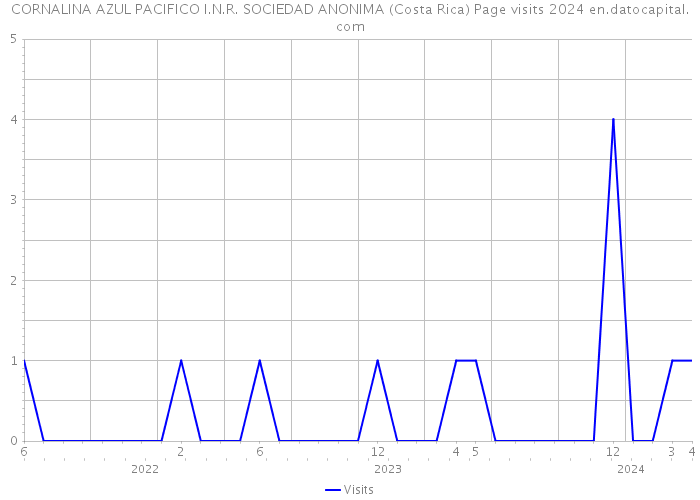 CORNALINA AZUL PACIFICO I.N.R. SOCIEDAD ANONIMA (Costa Rica) Page visits 2024 