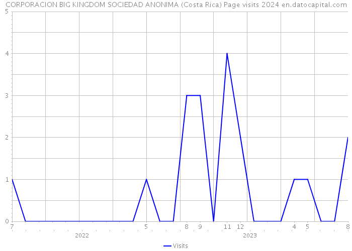CORPORACION BIG KINGDOM SOCIEDAD ANONIMA (Costa Rica) Page visits 2024 