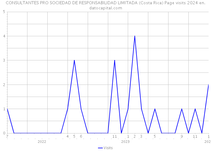 CONSULTANTES PRO SOCIEDAD DE RESPONSABILIDAD LIMITADA (Costa Rica) Page visits 2024 
