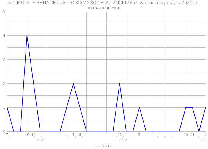 AGRICOLA LA REINA DE CUATRO BOCAS SOCIEDAD ANONIMA (Costa Rica) Page visits 2024 