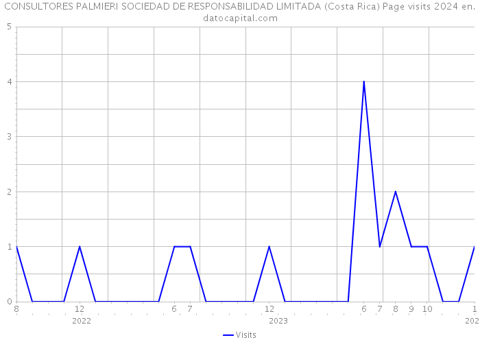 CONSULTORES PALMIERI SOCIEDAD DE RESPONSABILIDAD LIMITADA (Costa Rica) Page visits 2024 