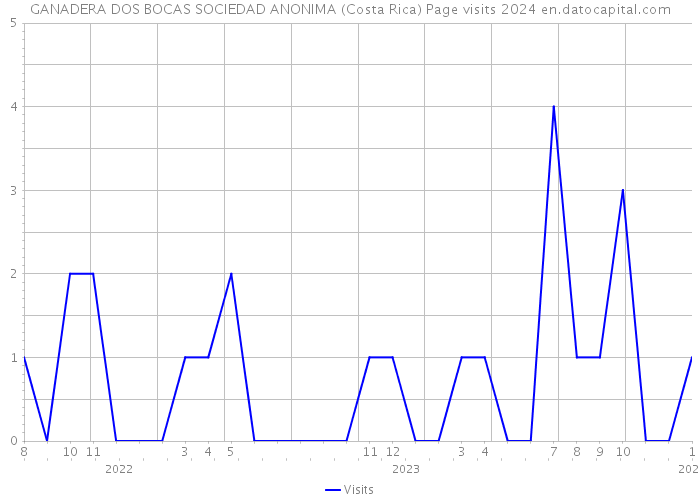 GANADERA DOS BOCAS SOCIEDAD ANONIMA (Costa Rica) Page visits 2024 