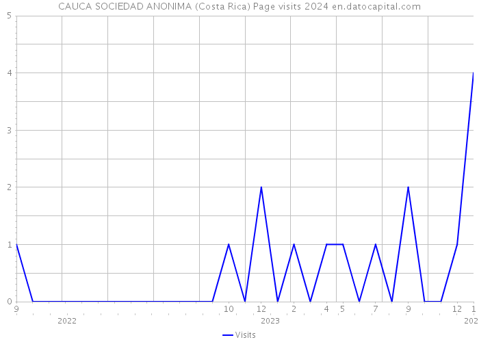 CAUCA SOCIEDAD ANONIMA (Costa Rica) Page visits 2024 