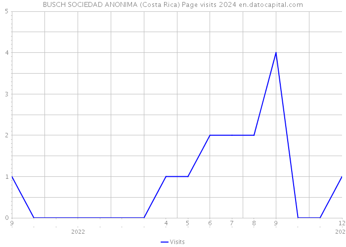 BUSCH SOCIEDAD ANONIMA (Costa Rica) Page visits 2024 