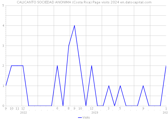 CALICANTO SOCIEDAD ANONIMA (Costa Rica) Page visits 2024 
