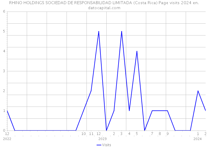 RHINO HOLDINGS SOCIEDAD DE RESPONSABILIDAD LIMITADA (Costa Rica) Page visits 2024 