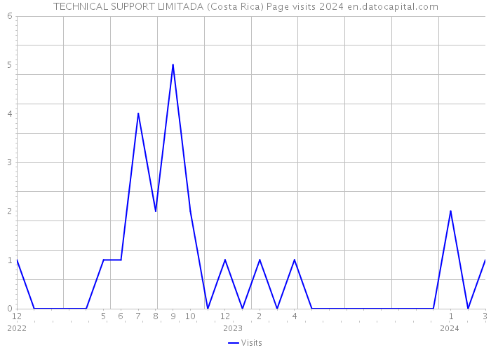 TECHNICAL SUPPORT LIMITADA (Costa Rica) Page visits 2024 