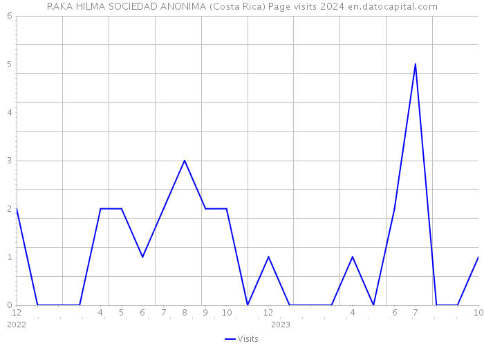 RAKA HILMA SOCIEDAD ANONIMA (Costa Rica) Page visits 2024 