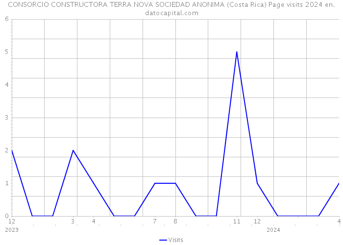 CONSORCIO CONSTRUCTORA TERRA NOVA SOCIEDAD ANONIMA (Costa Rica) Page visits 2024 