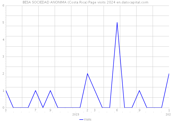 BESA SOCIEDAD ANONIMA (Costa Rica) Page visits 2024 
