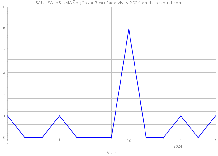 SAUL SALAS UMAÑA (Costa Rica) Page visits 2024 