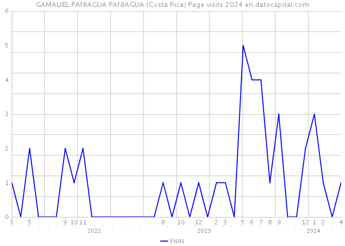GAMALIEL PANIAGUA PANIAGUA (Costa Rica) Page visits 2024 