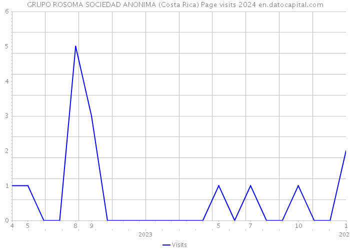 GRUPO ROSOMA SOCIEDAD ANONIMA (Costa Rica) Page visits 2024 
