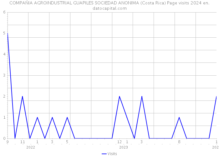 COMPAŃIA AGROINDUSTRIAL GUAPILES SOCIEDAD ANONIMA (Costa Rica) Page visits 2024 