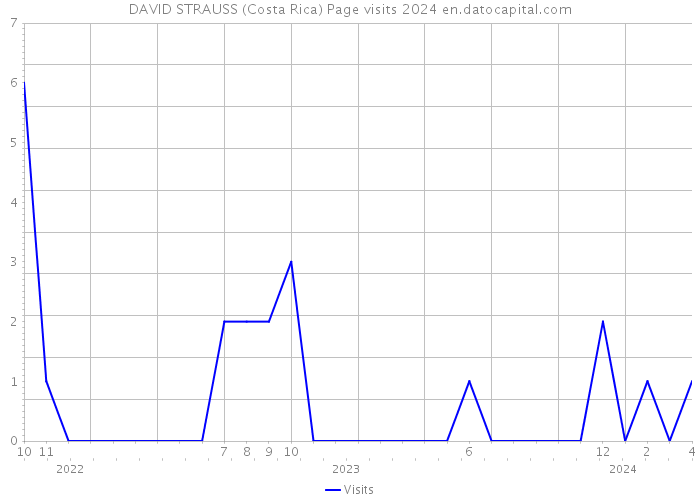 DAVID STRAUSS (Costa Rica) Page visits 2024 