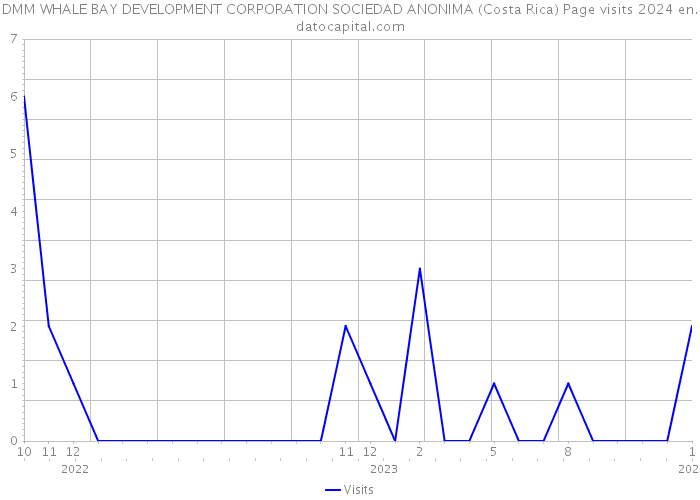 DMM WHALE BAY DEVELOPMENT CORPORATION SOCIEDAD ANONIMA (Costa Rica) Page visits 2024 